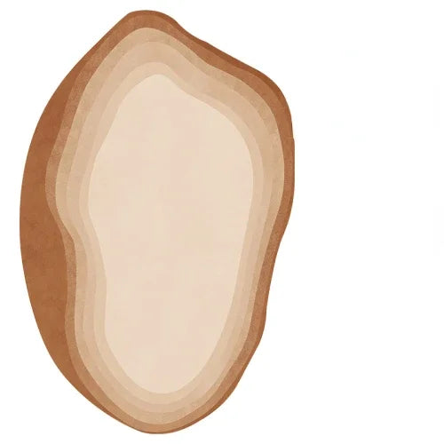 Aurora Oval Plush Art Rug — Lumière Collection by Atelier Maeve